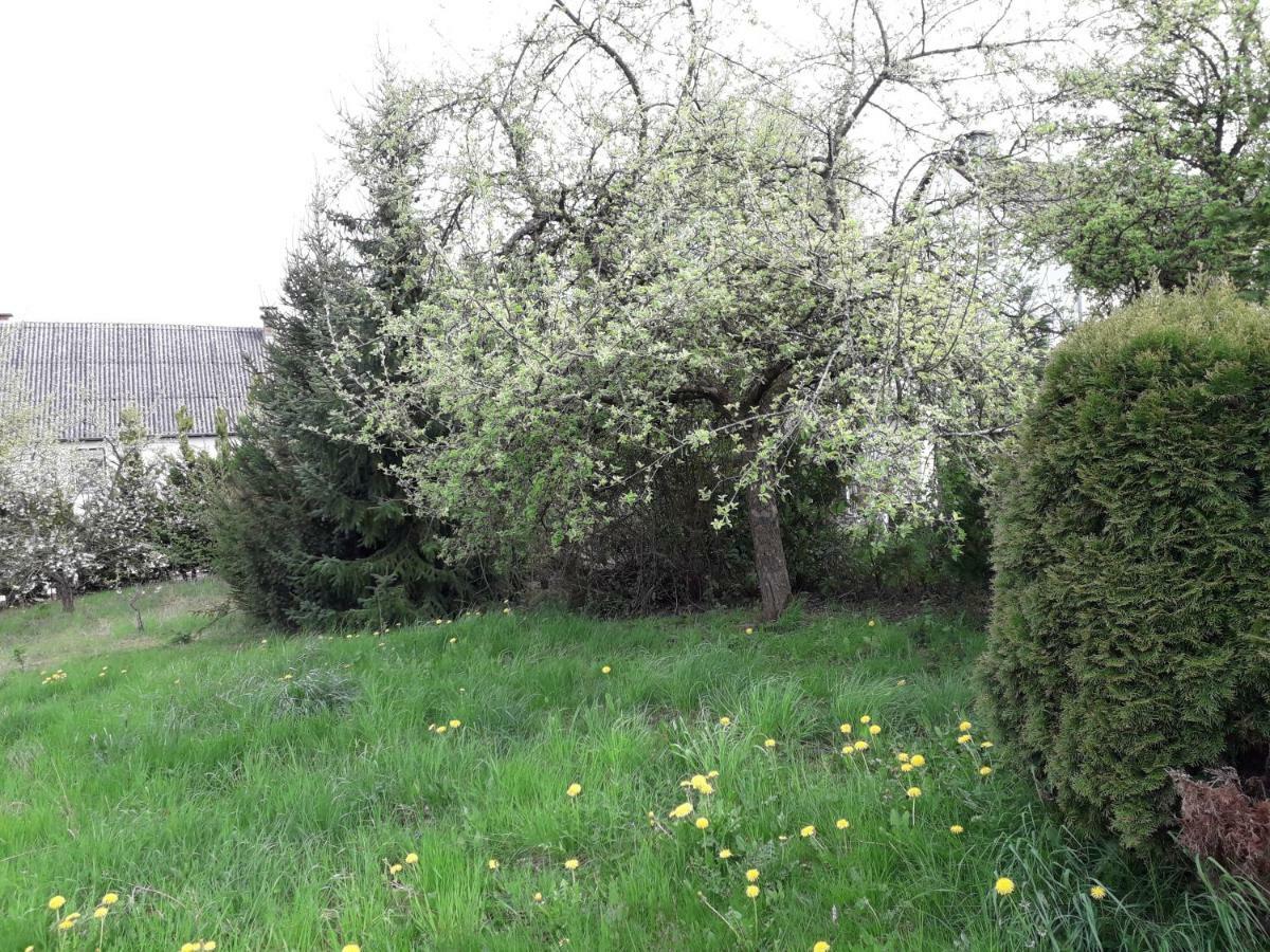 Vakantie Boerderij De Boerenzwaluw Karl Exteriér fotografie